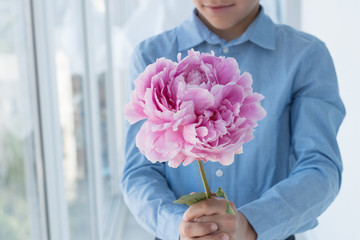 young gentlemen in blue shirt hold huge gentle  pink peony in hands and smile. Congratulations with birthday, mother's day, anniversary, valentines day. Holiday concept