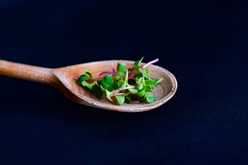 Close-up of radish microgreens on wooden spoon