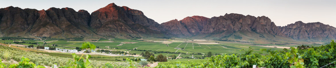 Panoramic View of the Slanghoek Valley near the town of Worcester in the Breede Valley in the...