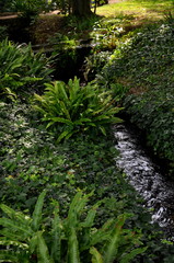 Giardini di Ninfa