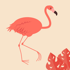 Cute Tropical bird Pink flamingo Flat vector illustration design