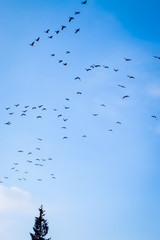 Obraz premium holidays, travel, trip, world, beauty, magical, spectacular, amazing, meliveo