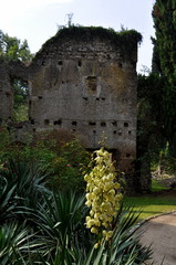 Giardini di Ninfa