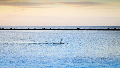 Obraz premium holidays, travel, trip, world, beauty, magical, spectacular, amazing, meliveo