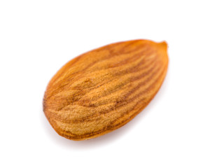 One almond nut an isolated on white background