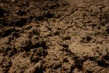 Drought, the ground cracks, no water, lack of moisture. Dried and Cracked ground,Cracked surface,Dry soil in arid areas. texture background