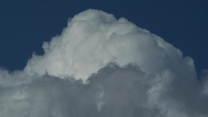 Fototapeta na wymiar Gros cumulus bourgeonnant