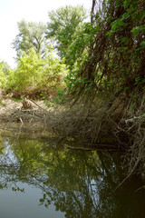 Discovering the spring season on the island of Tramsani-Pisica