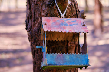 A wooden feeder with spots of multi-colored paint hangs on a tree in the forest