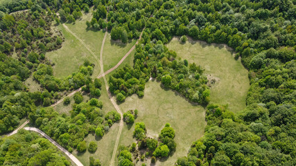 Forest and meadow crossed by road from the top