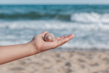 Shell on a child's hand on a background of sea and sand.