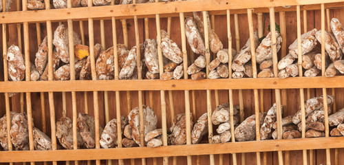 Traditional Rye flour bread cooked on site during the 