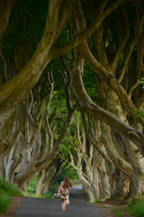 A girl walks along a beech alley.
The Dark Hedges is an avenue of beech trees along Bregagh Road between Armoy and Stranocum in County Antrim, Northern Ireland.