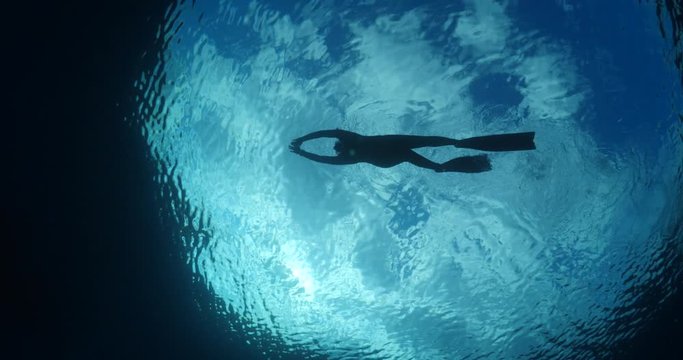 free diver snorkeling  underwater lady woman freediver