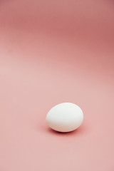 
white egg on a pink background