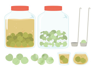 梅酒　梅シロップ　お酒　梅　素材セット