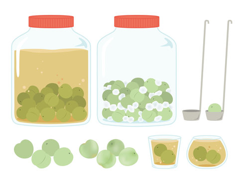 梅シロップ の画像 1 256 件の Stock 写真 ベクターおよびビデオ Adobe Stock