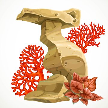 Sandstone picturesque form with corals and seaweed for aquarium decoration or as separate element isolated on white background