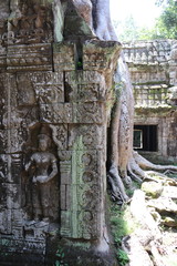 Temple Ta Prohm &agrave; Angkor, Cambodge