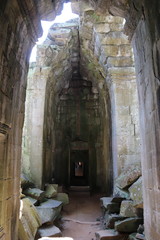 Intérieur du temple Ta Prohm à Angkor, Cambodge
