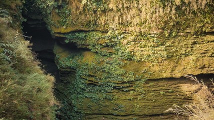 A close up of green cave wall