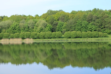 Fototapeta premium On the bank of the pond in the city forest park