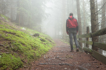 a man walking inside a forest in a foggy day