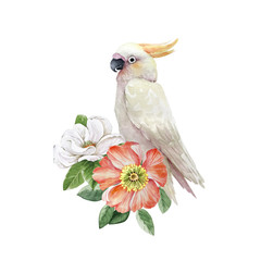 white cockatoo parrot bird in a bouquet of flowers, watercolor illustration on white background