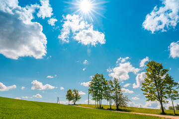 Rural landscape with a beautiful blue cloudy sky and wheat field