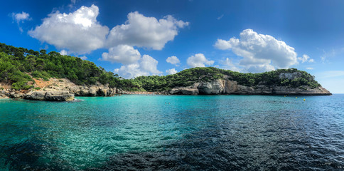 Beach and cliff landscape