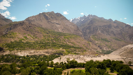 A view of mountain and trees on ground