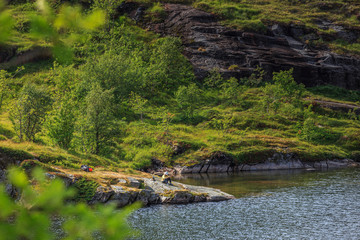 Lofoten landscape panoramic view in Norway