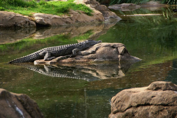 Obraz premium SONY DSC