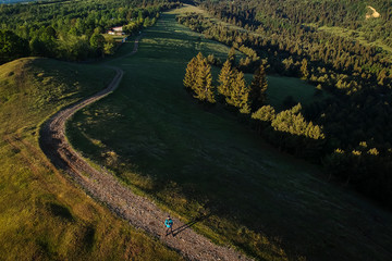 Beatiful green landscape with fir trees and country road. Comanesti, Romania.