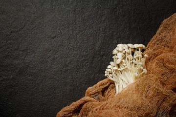 Enoki,  Enokitake, Flammulina velutipes, edible mushroom popular in Japanese cuisine