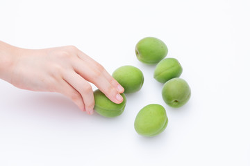 青梅　たくさんある梅から良い形の梅を選別する様子