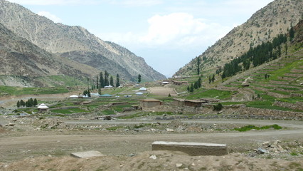 Close up of houses and trees from above