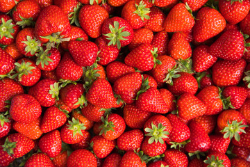 Fresh Organic Strawberries Top View