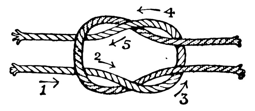 Knots/Reef knot or Square knot, vintage illustration