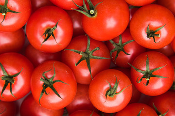 Delicious red tomatoes . Fresh tomatoes, It can be used as background