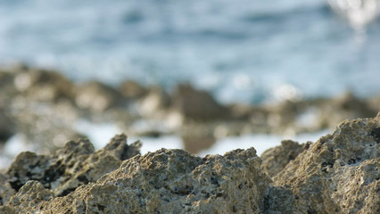 Close up of rocks by the sea shore