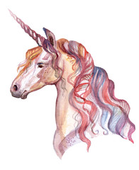 Fototapeta na wymiar Watercolor unicorn 8