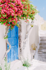 Street in Santorini with bougainvillea flower and blue door
