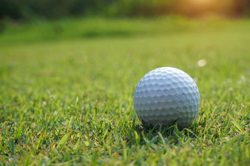 Golf ball on the green with warm tone and sunset. Golf ball on Green field golf course in morning time with soft sunlight