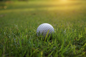 Golf ball on the green with warm tone and sunset. Golf ball on Green field golf course in morning time with soft sunlight