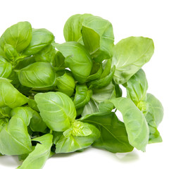 Basil is a fresh Italian ingredient