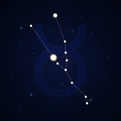 Taurus, the bull. Constellation and zodiac sign on the starry night sky