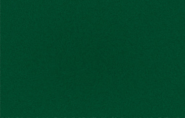 green leather texture