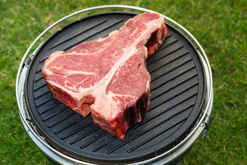 Thick Raw T-Bone Steak with Seasoning and Rosemary