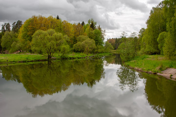 Fototapeta na wymiar Beautiful spring forest in the reflection of a beautiful river under a cloudy sky